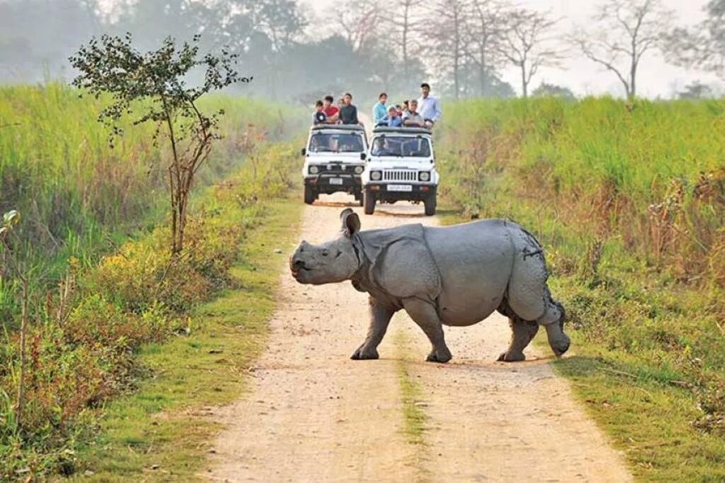 National Parks in India
